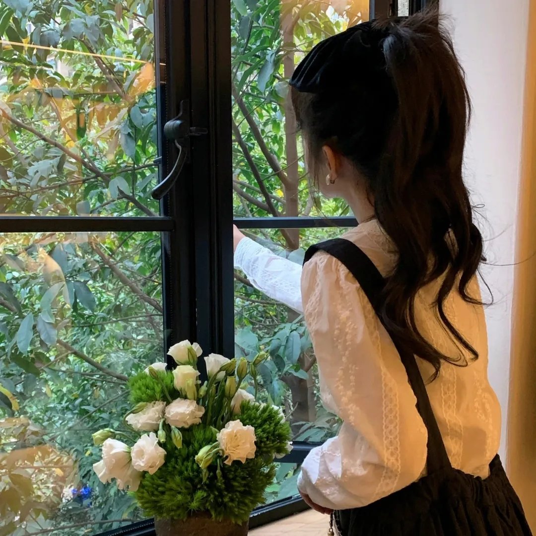 皇太极海报